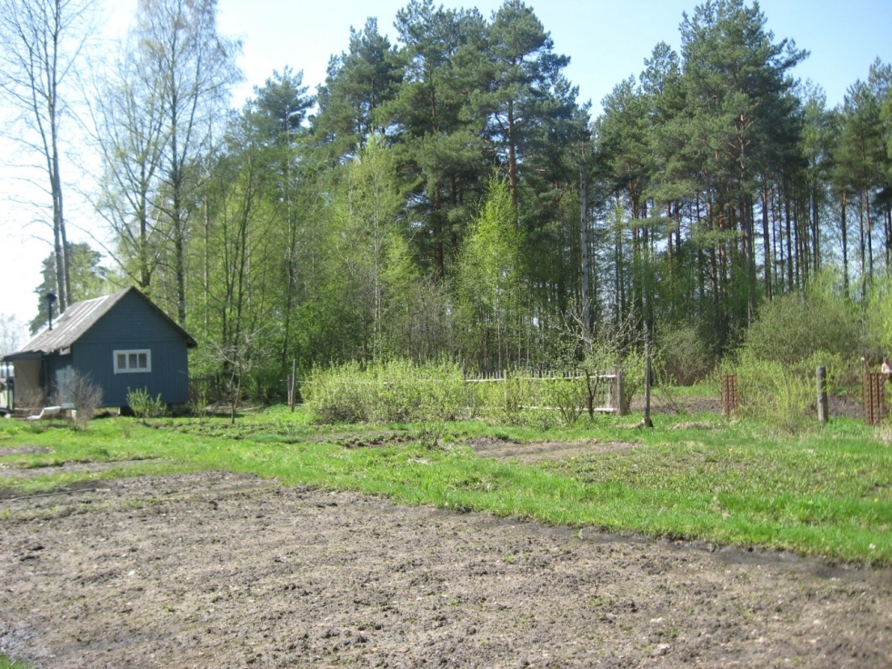 Polyana village Leningrad Vyborg district