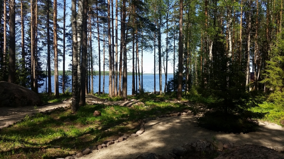 Map of the seaside urban settlement Vyborg district