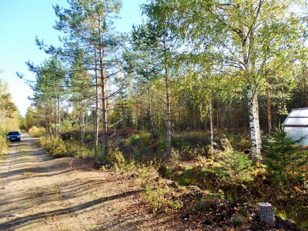 Selection Vyborg district Leningrad region