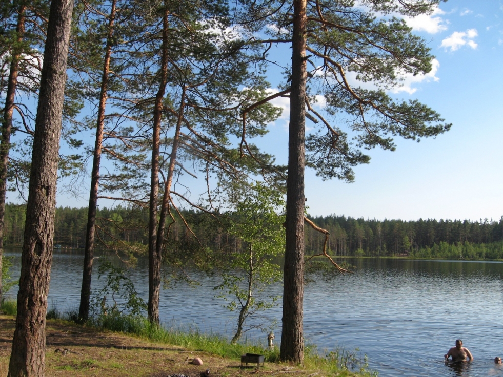 Map of the Leningrad region with cities detailed