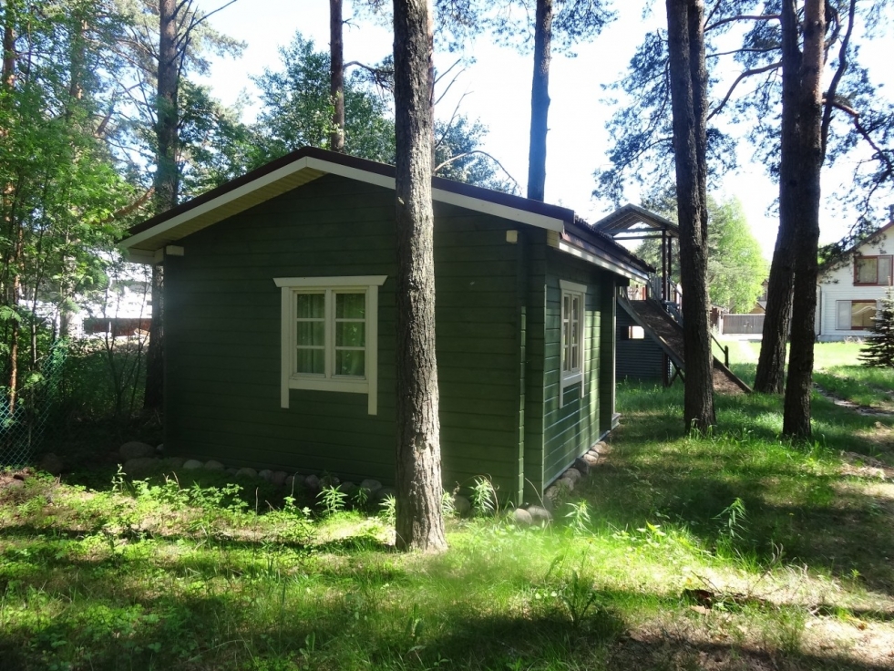 Geographical map of the Leningrad region