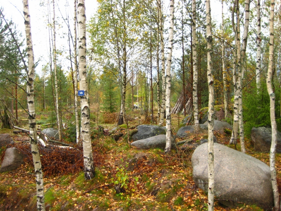 General Plan of the Leningrad Region