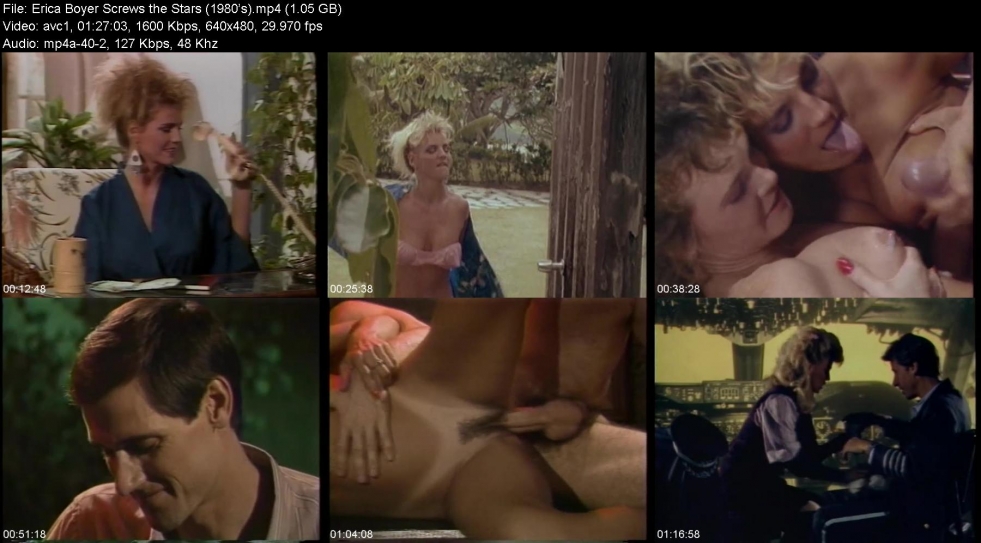 Pornstar Erica Boyer