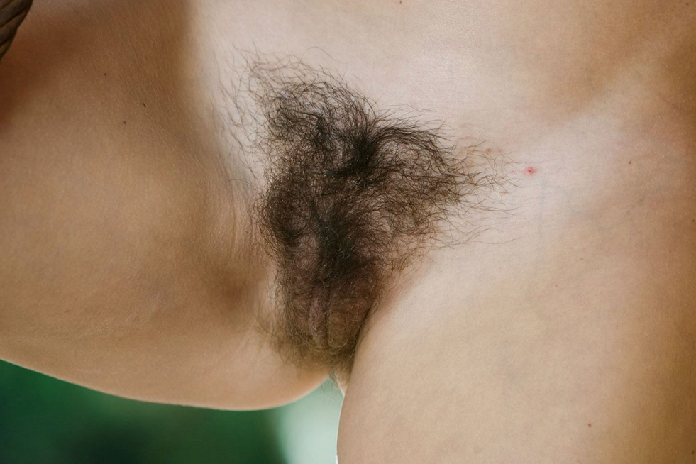 Hairy pubis close