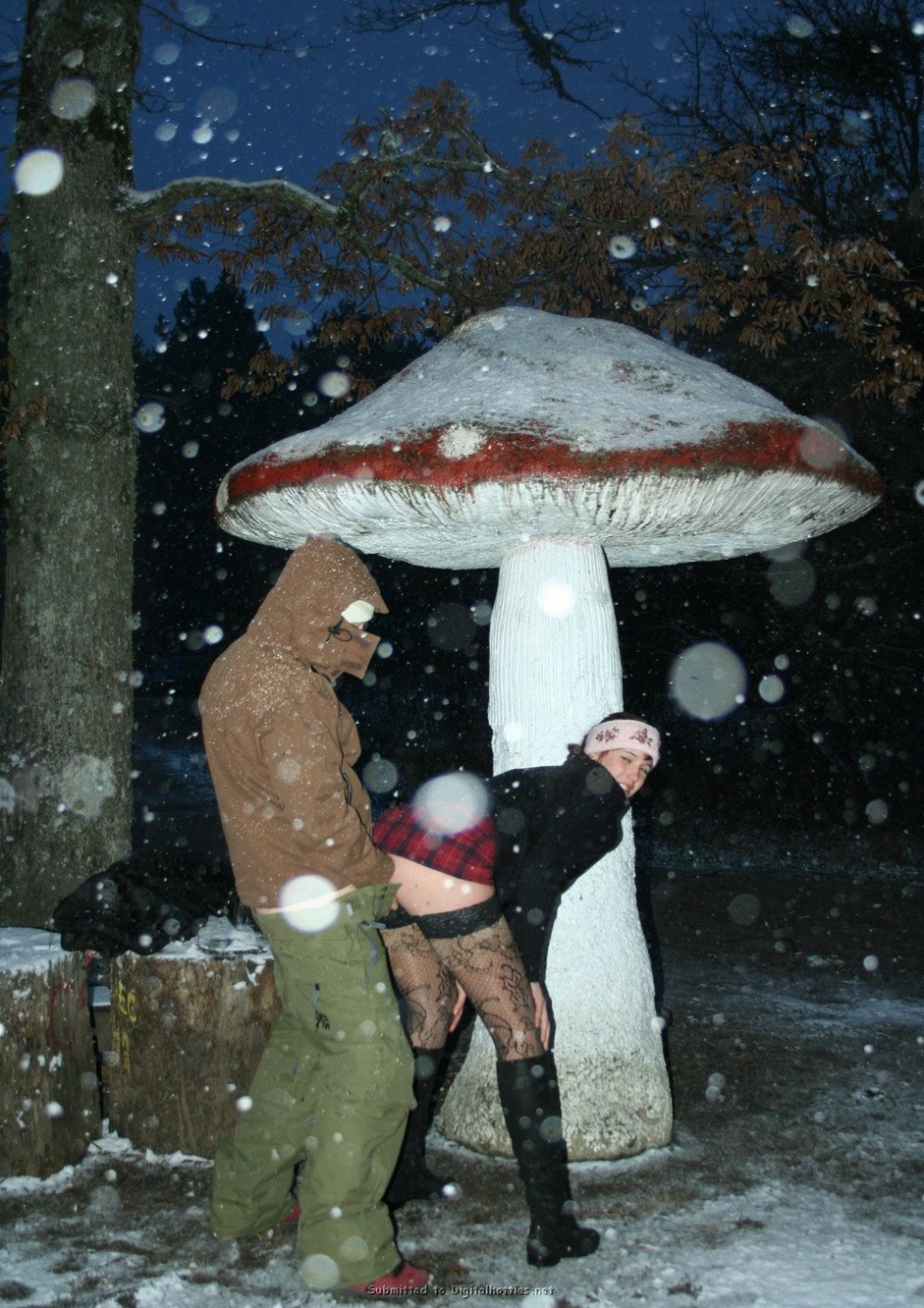 Fucked on fungi joke