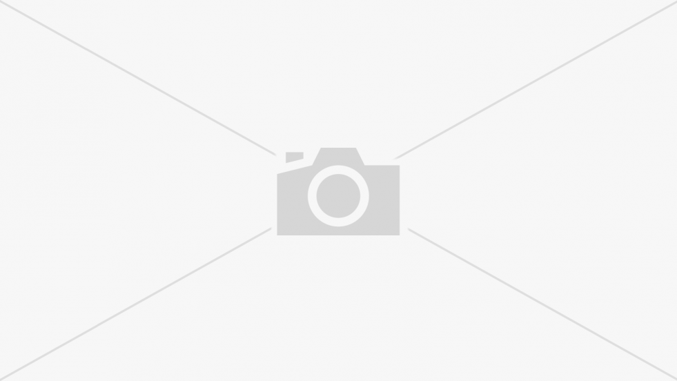 NOVIS-ELECTRONICS NFS-9688Q steamer