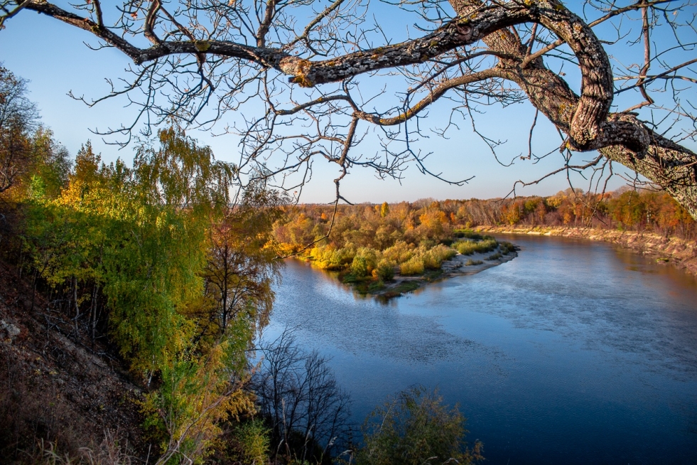 Polovtseva station Voronezh region