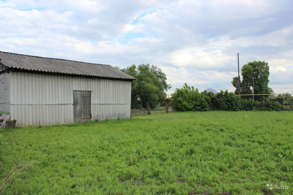 Ternovskaya school Novokhopersk Voronezh region