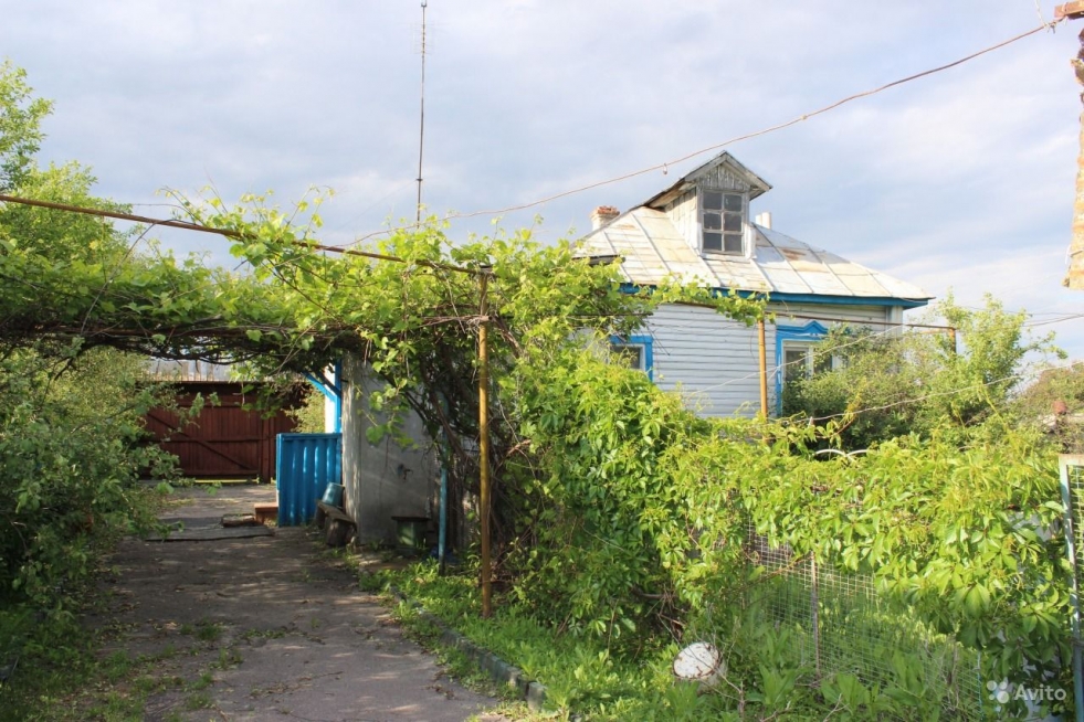 In the poker Novohopersk in Voronezh region