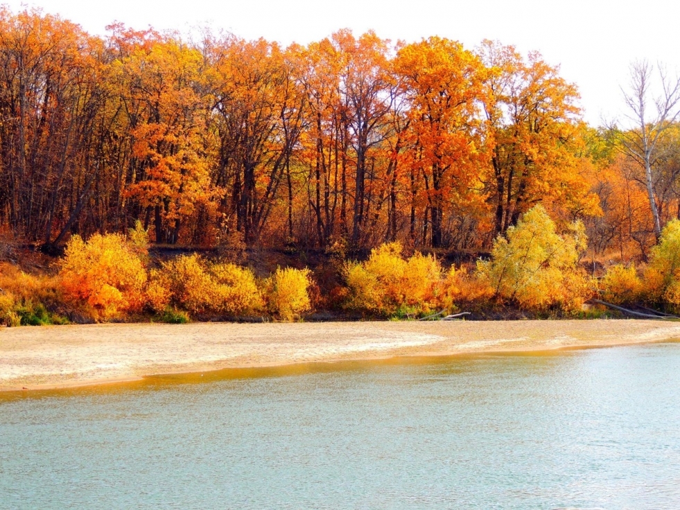 300 km from Voronezh