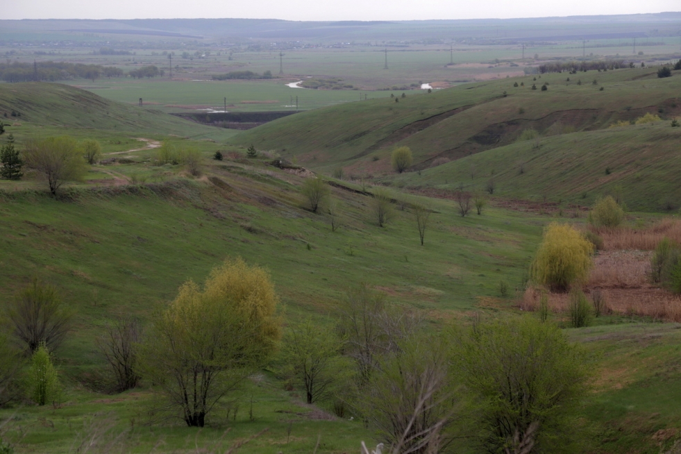 House for sale Voronezh region with red st October