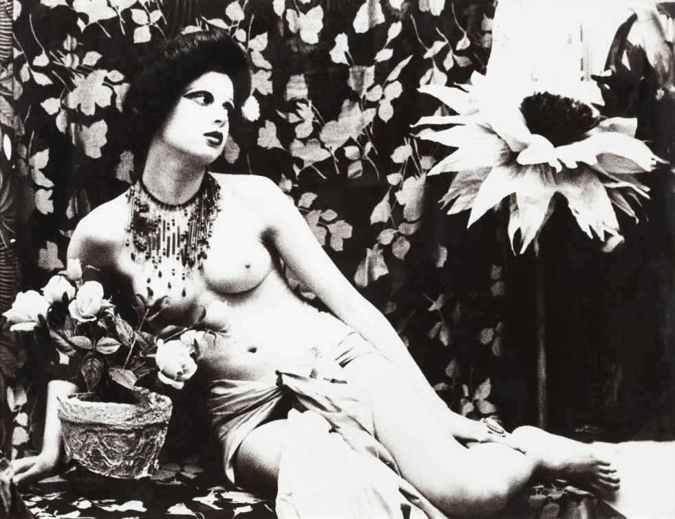 Sperm 1976, Eva ionsko