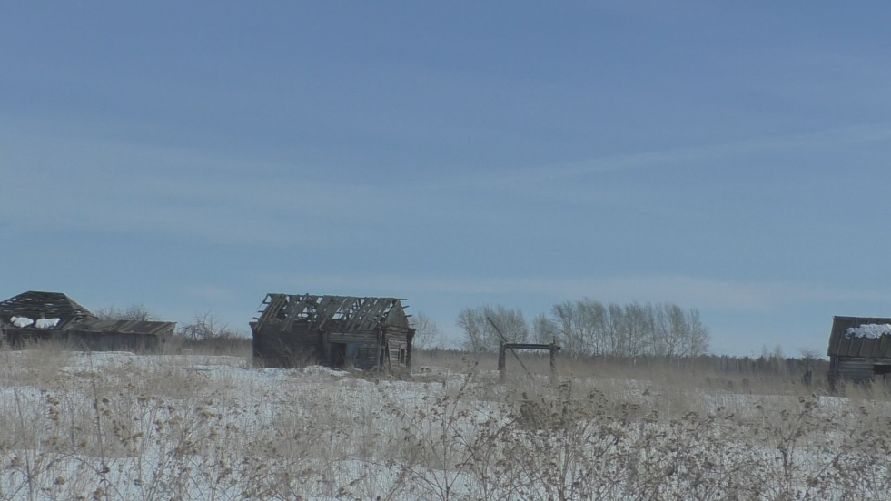 Natalia Vaganova Kargapol