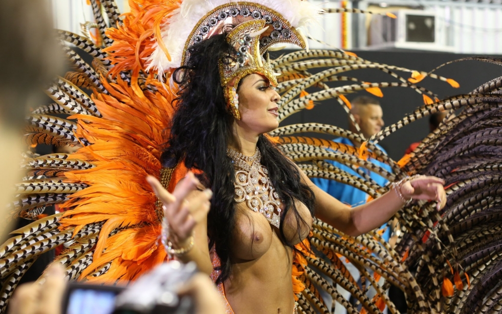 Carnival in Rio de Janeiro Tits