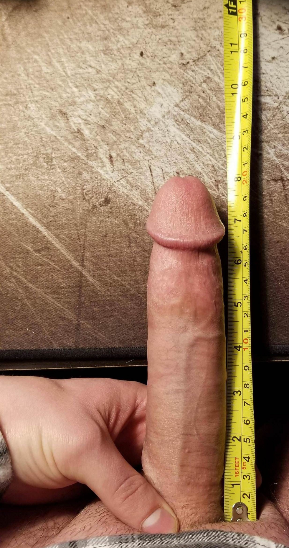 The male member with a ruler 18cm