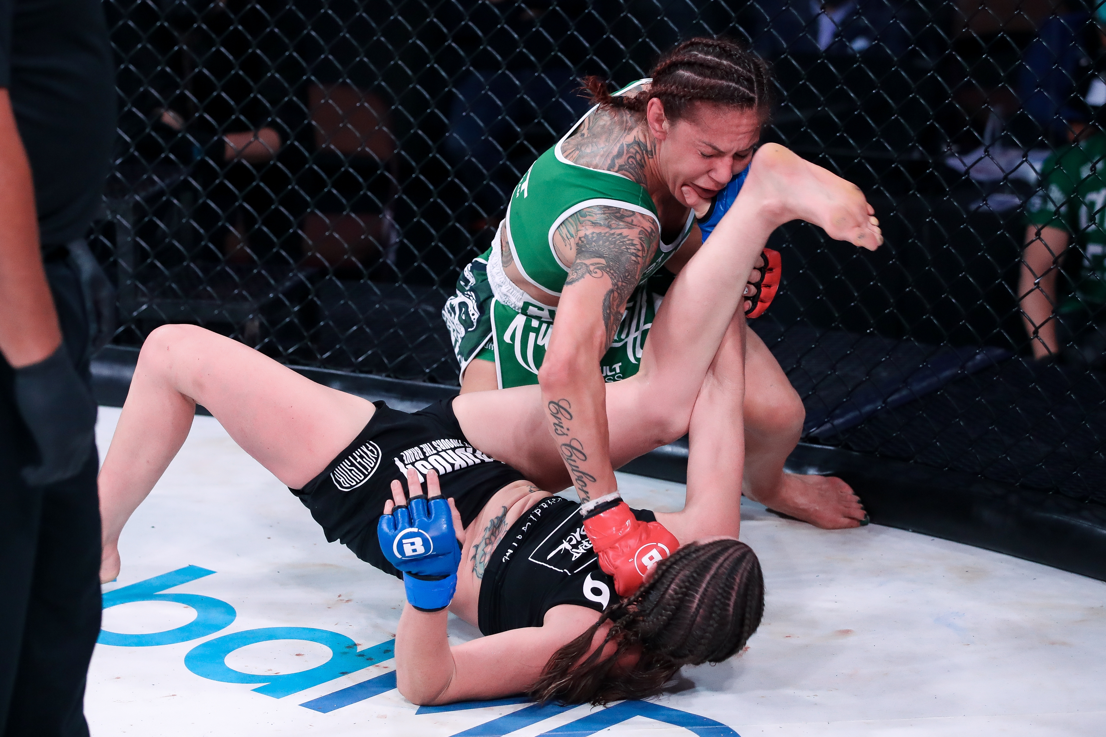 Is less dangerous than. Bellator 259: киборг - Смит 2. Cris Cyborg.