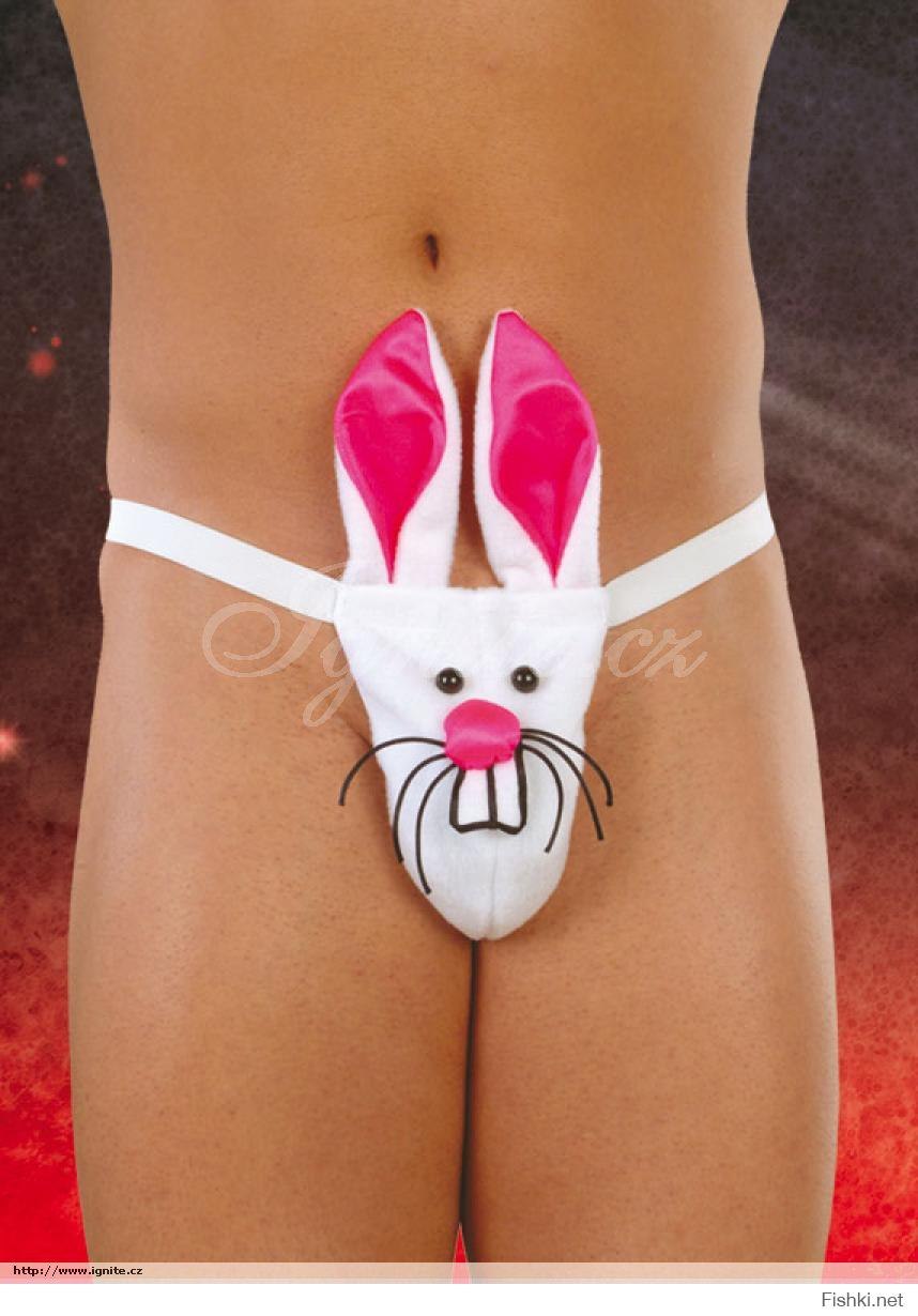 String 4402 Softline