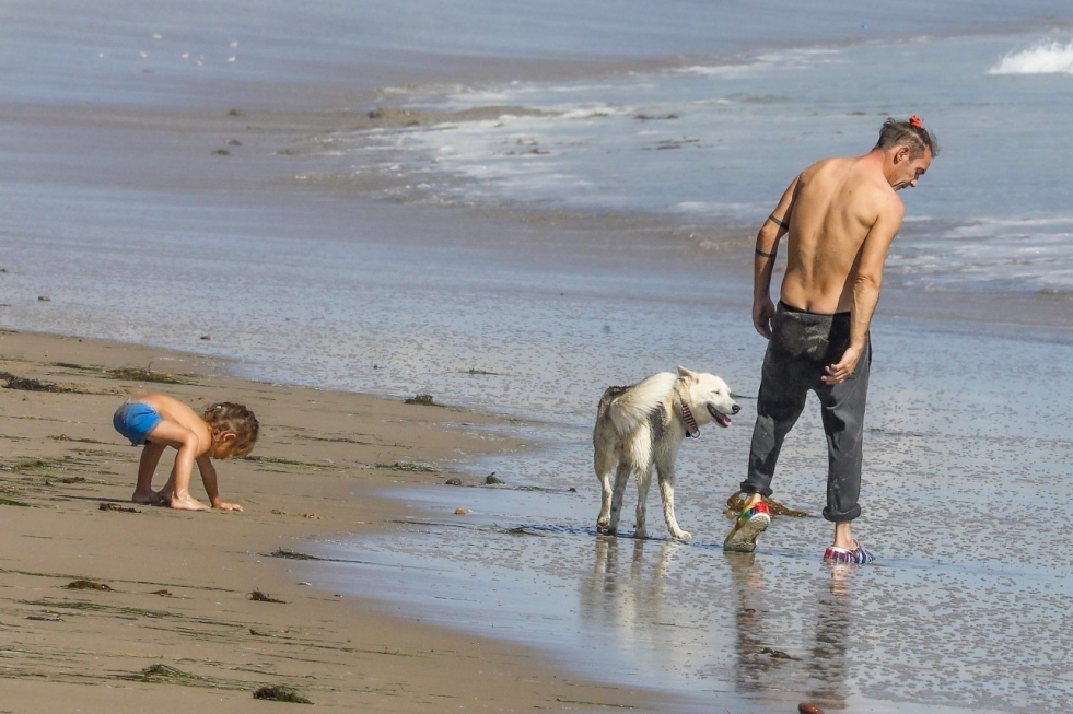 Jonathan Bailey Bridgeertons