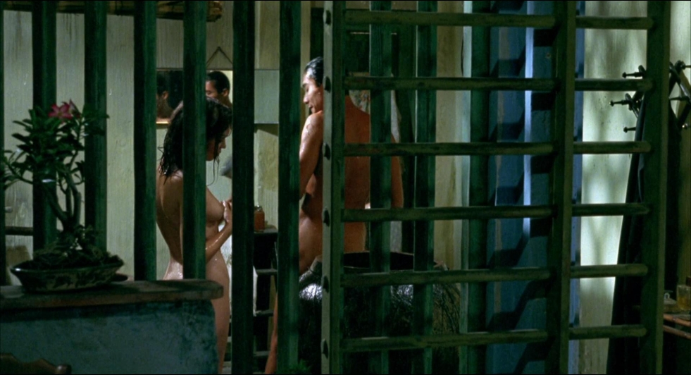 The Lover (L'amant) (1992)