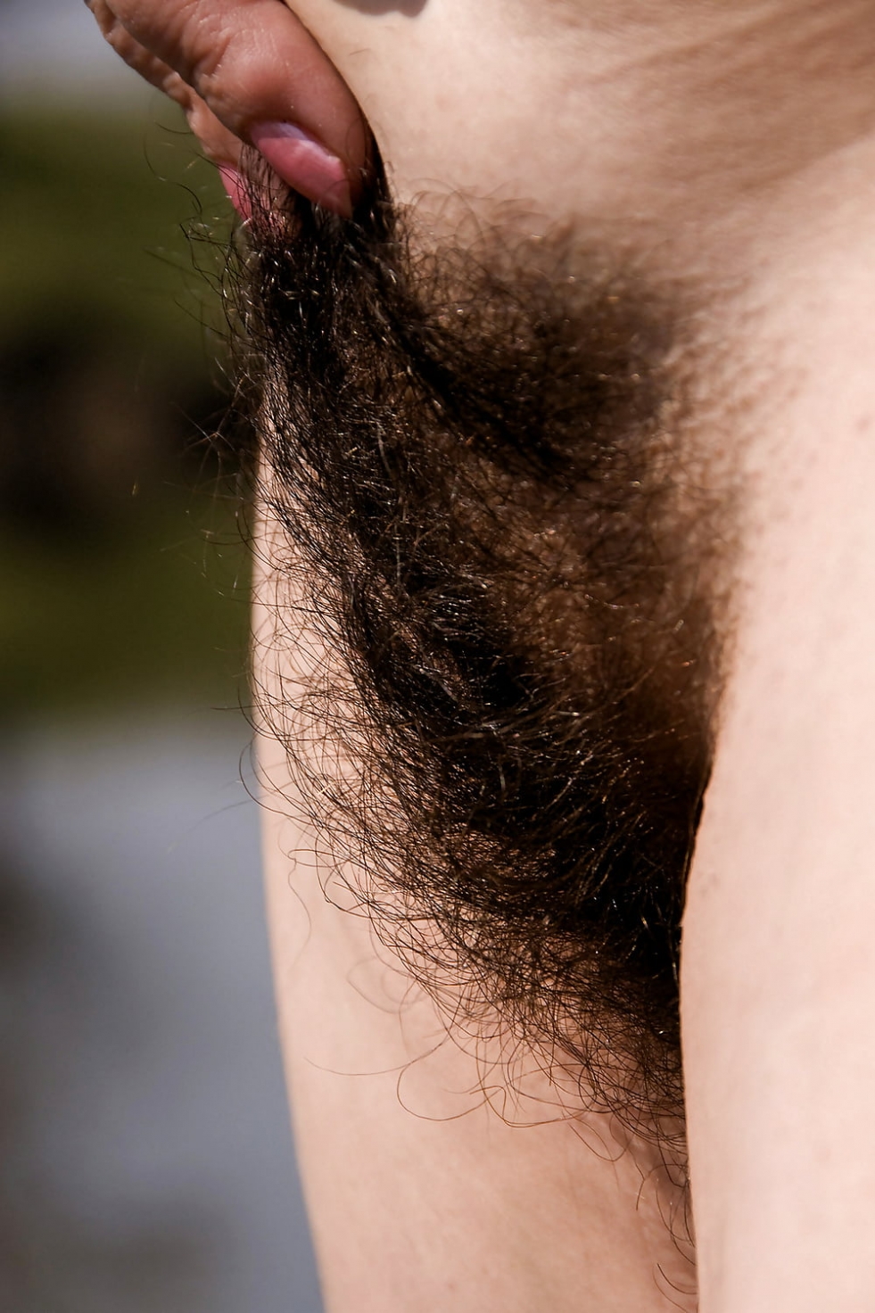 Very hairy female pubis