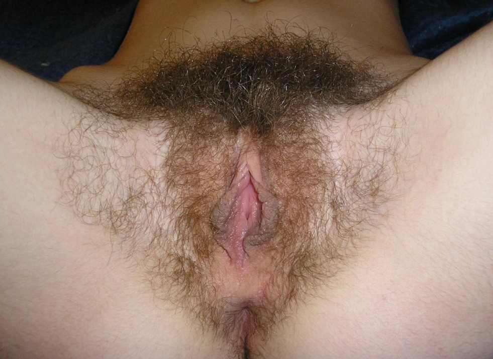Hairy pussy close-up