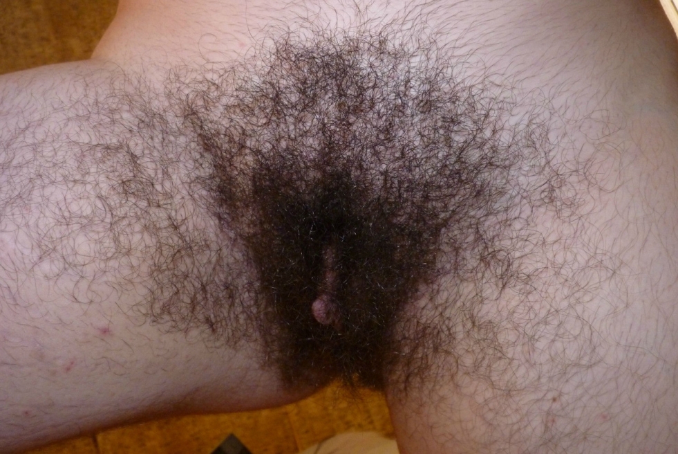 The most hairy women's pubis