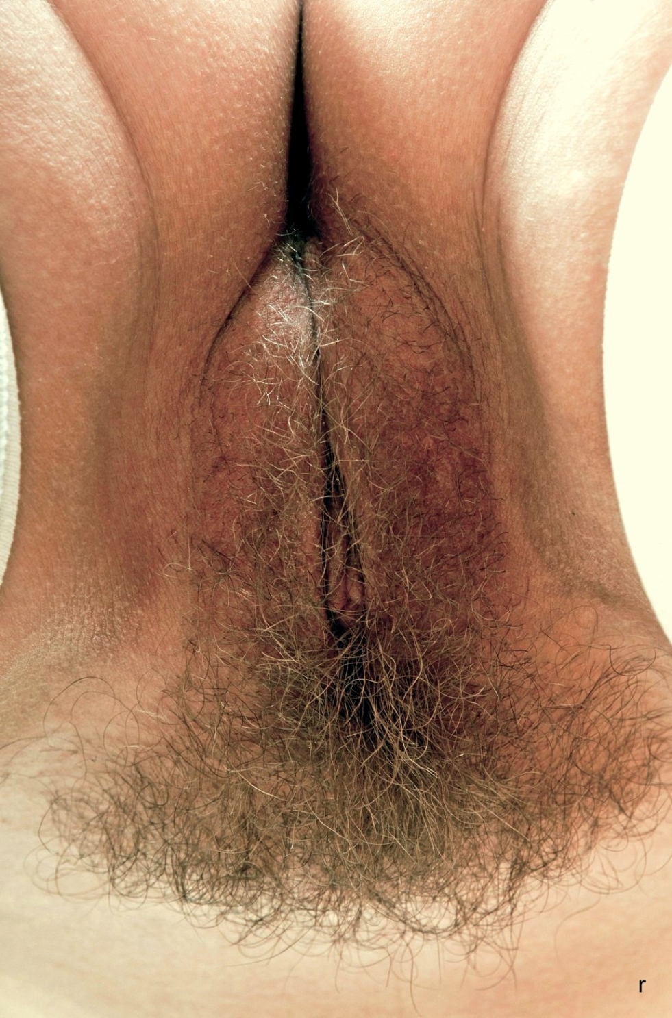 Hairy pussy bottom view