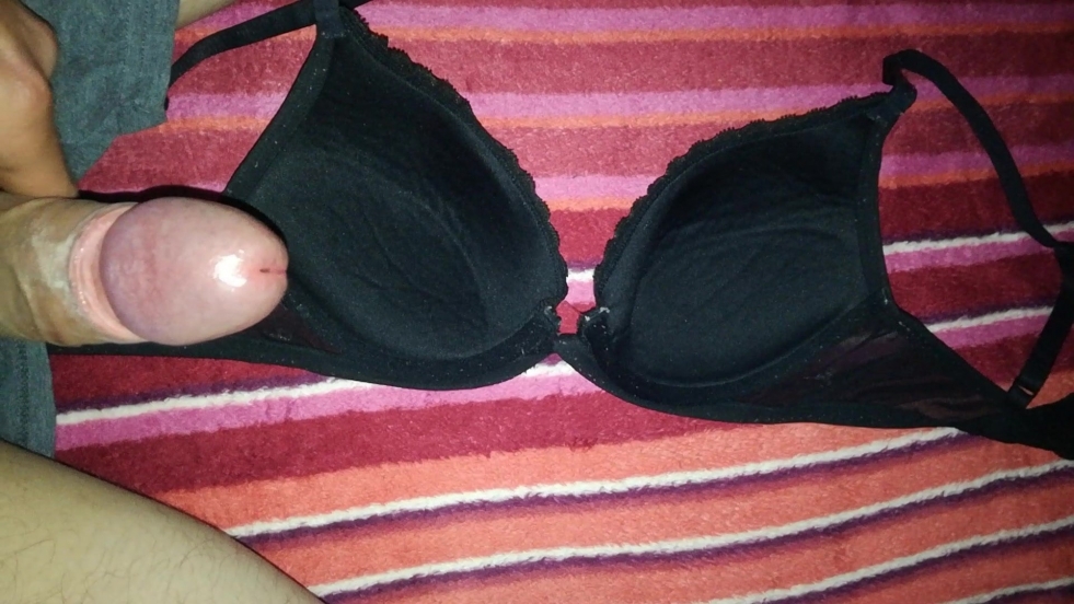 Between Member Boobs in bra