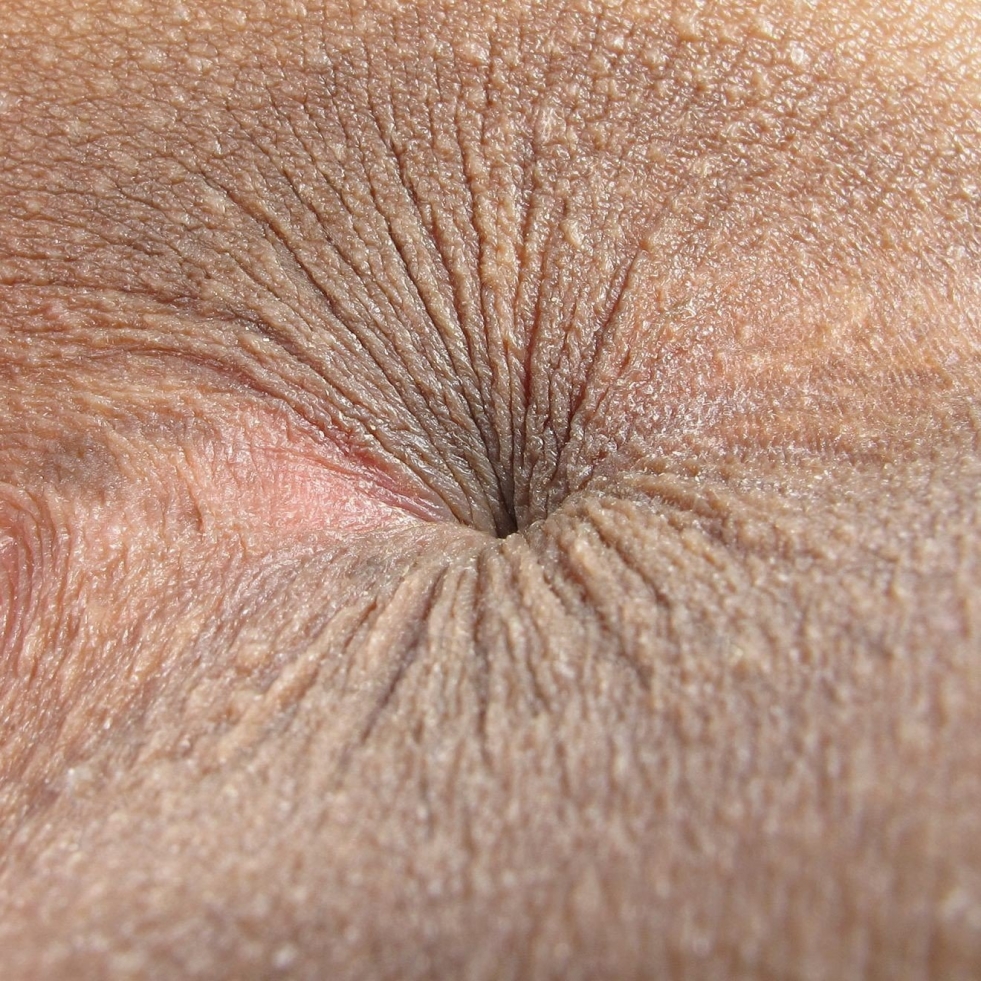 Female anus close-up