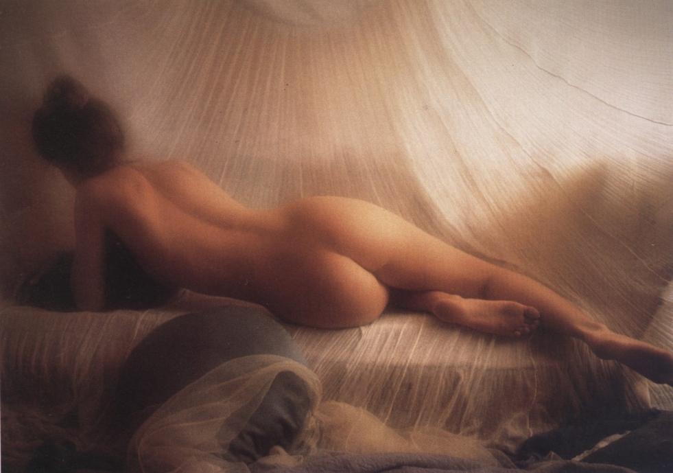 David Hamilton (David Hamilton) 14