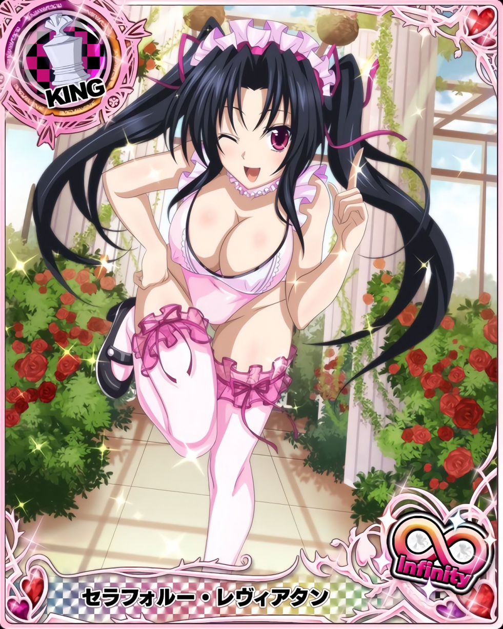 Akeno Himejima High School DXD Cards Hentai