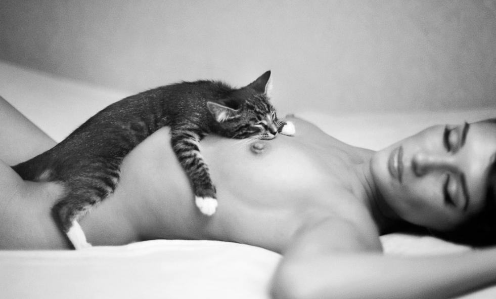 Erotic photo session with cats