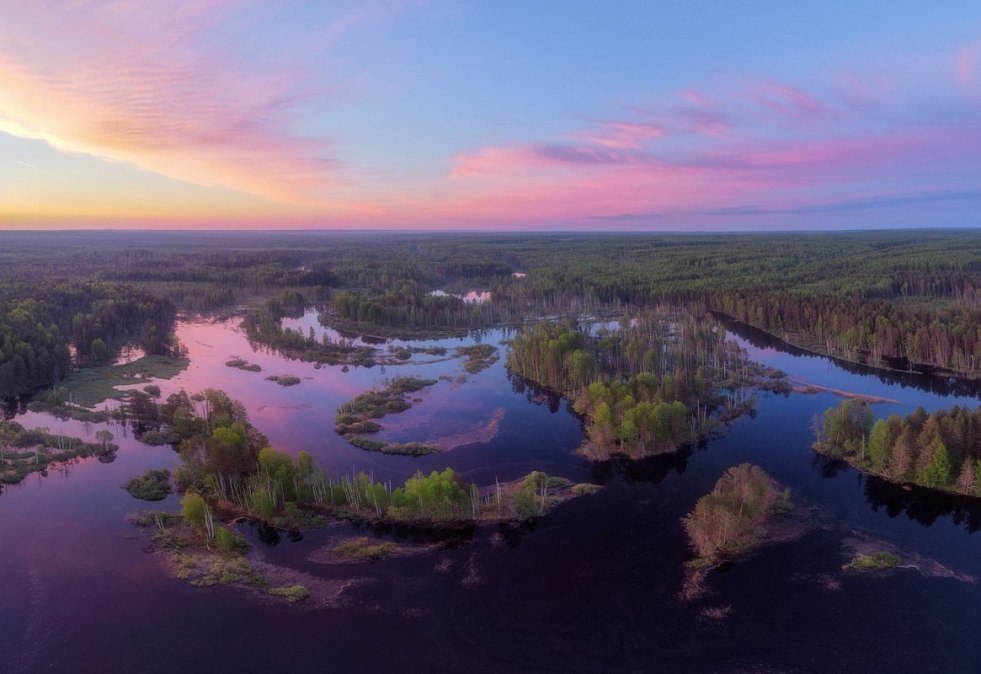 Mature wafflers are private