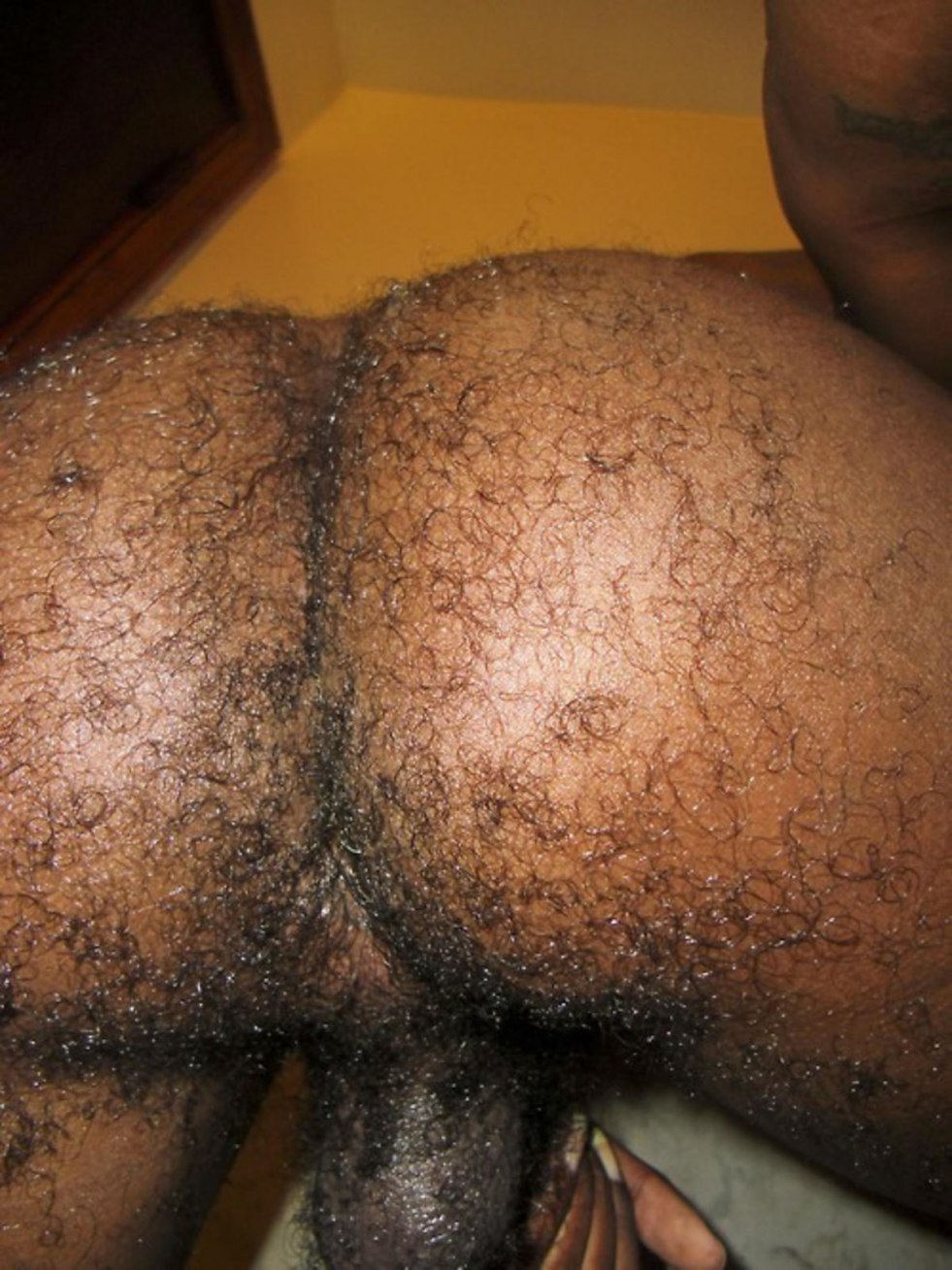 Hairy female ass