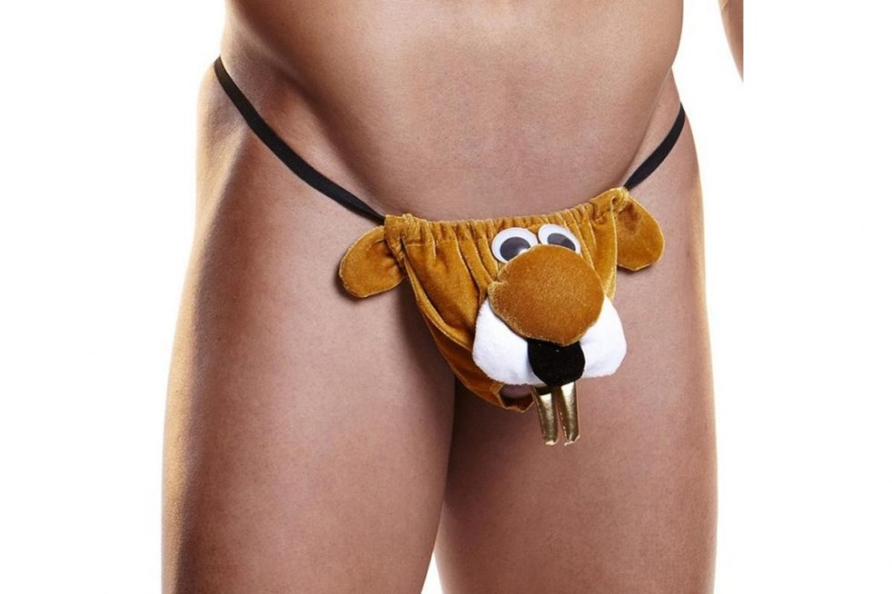 Erotic panties for men