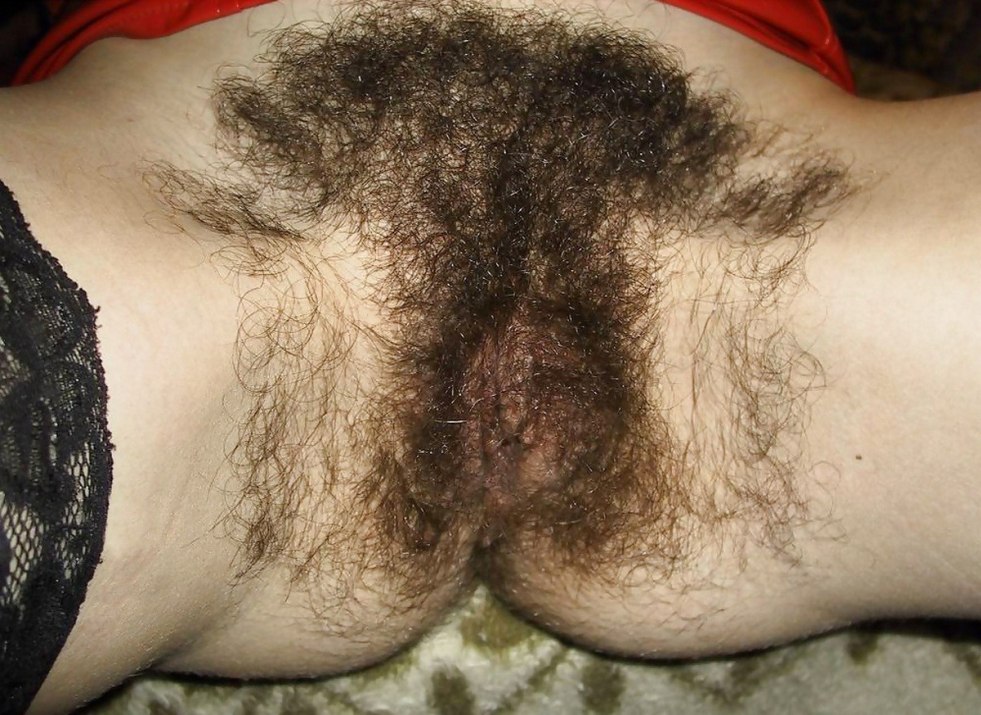 Very hairy crotch