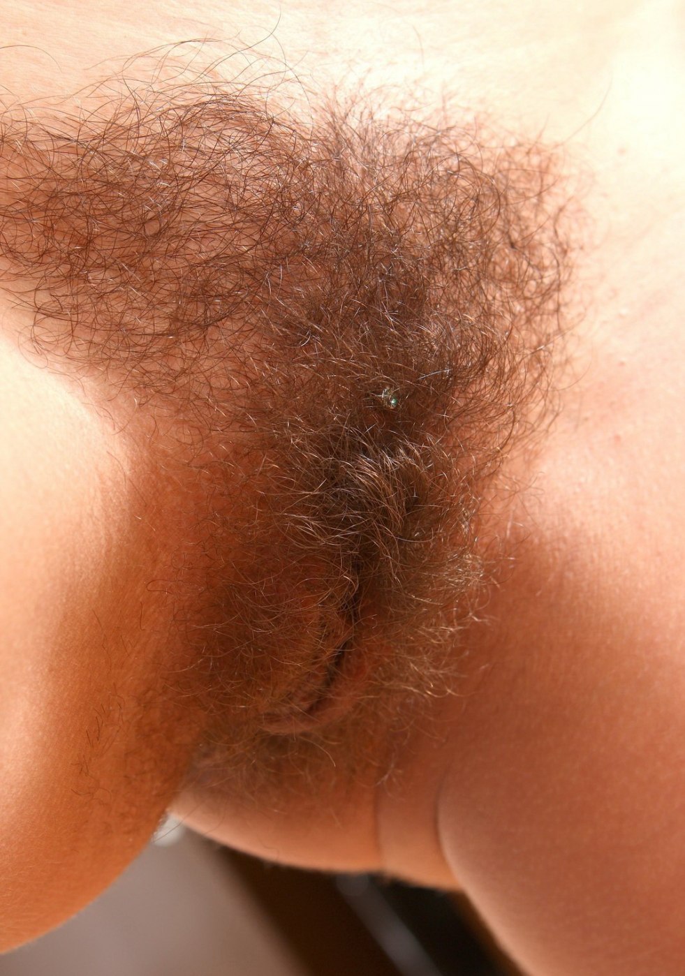 Beautiful hairy female pubis