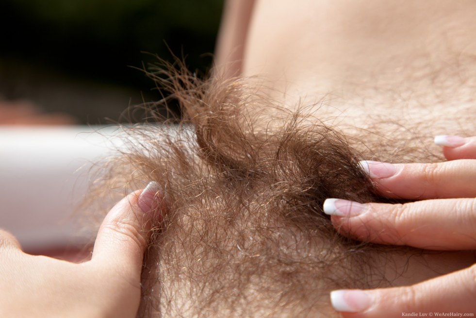 Hairy female crotch