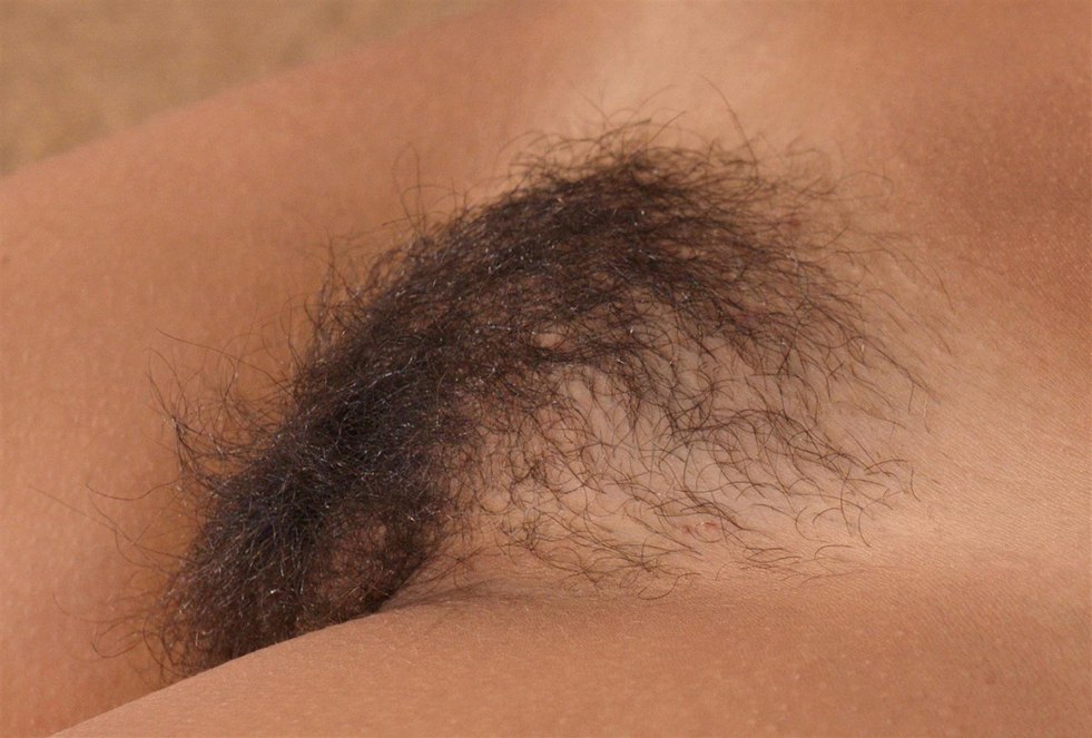 Hairy pubis mature closeup