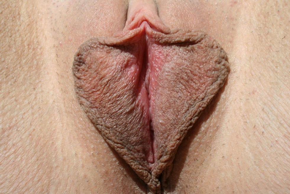 Vagina with big sex lips