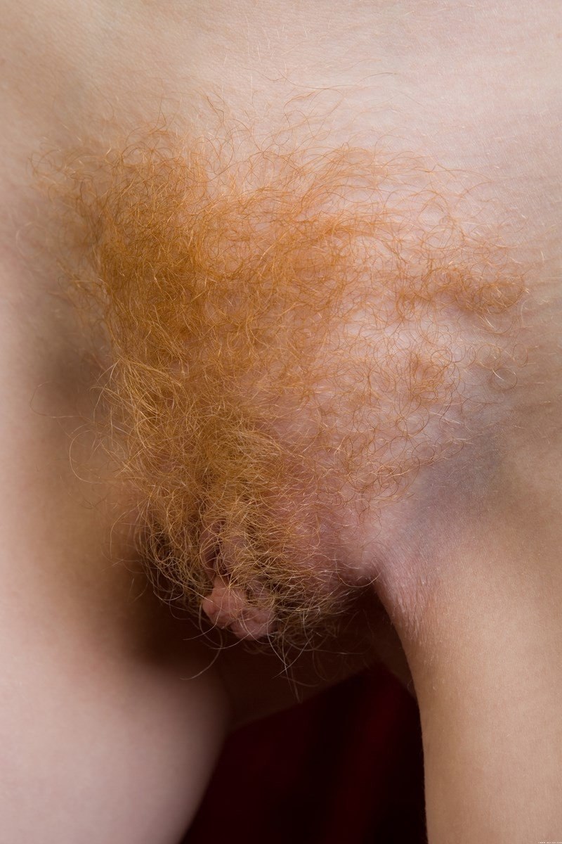 Redhead female hairy pubis