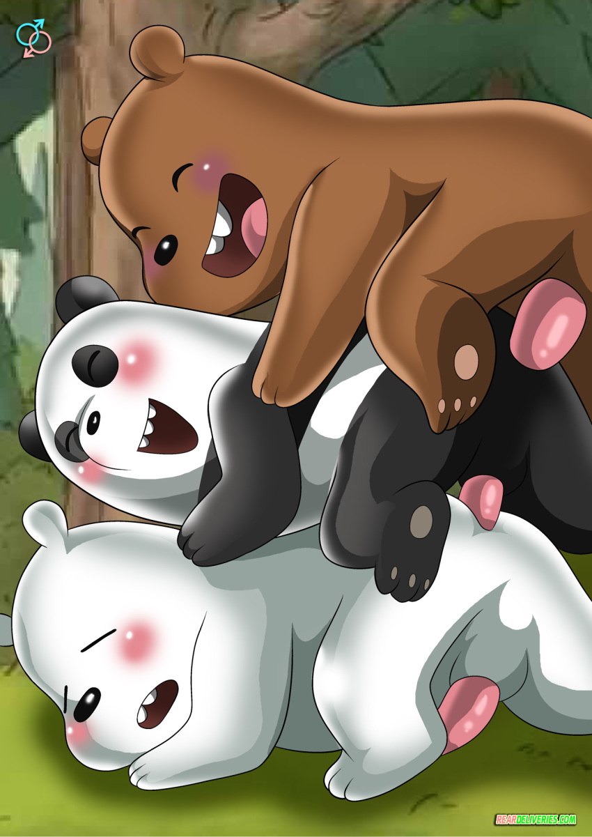Three Bear Panda and White Sex