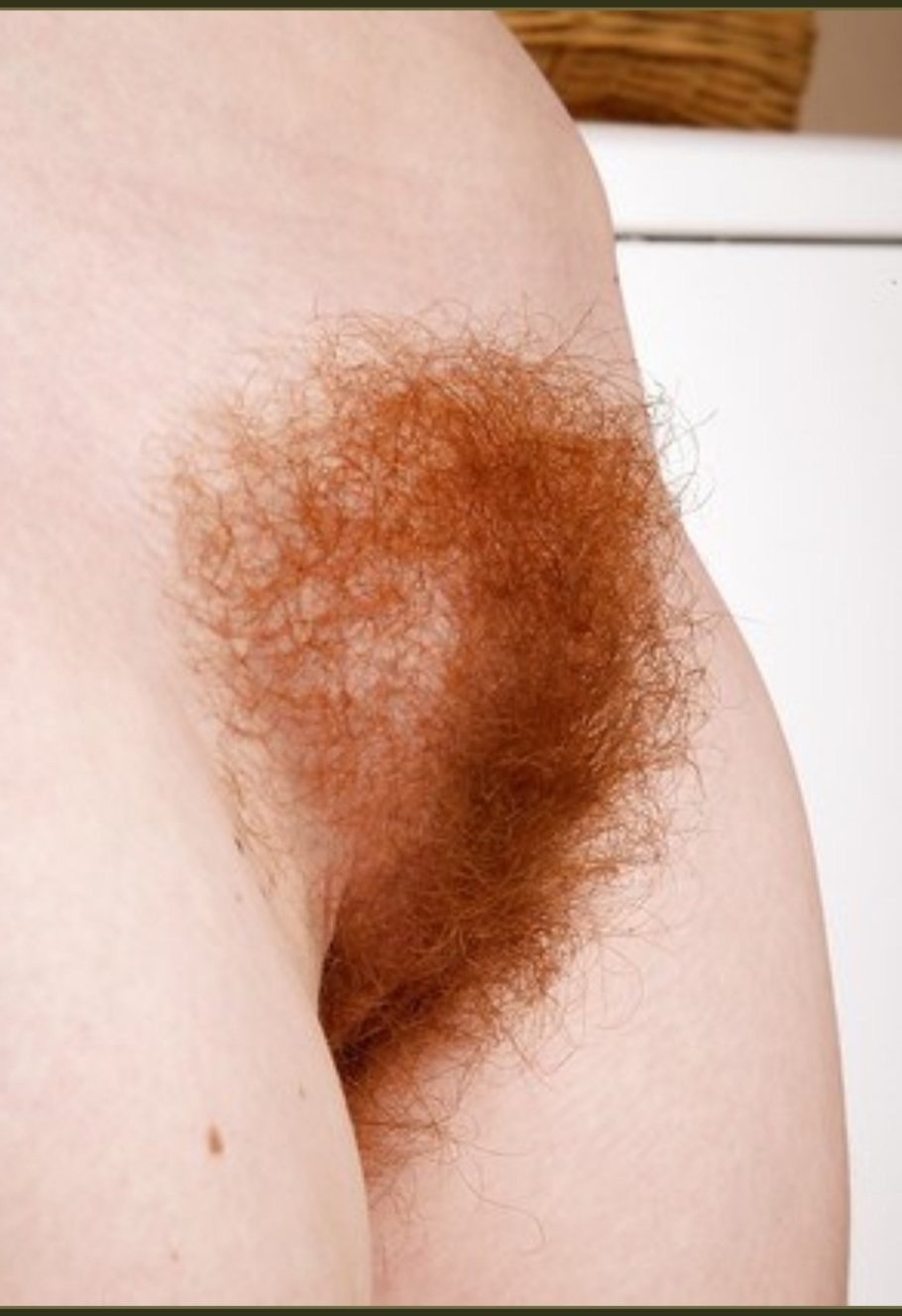 Hairy vagina with red hair