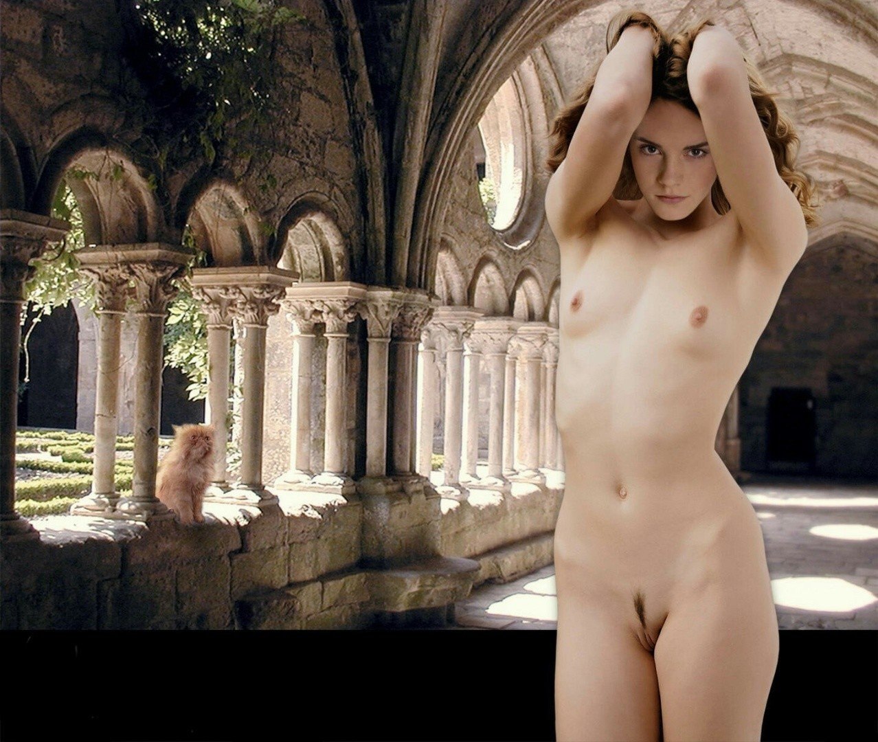 Harry Potter Porn Fakes - Fakes naked Hermione Granger (65 photos) - porn