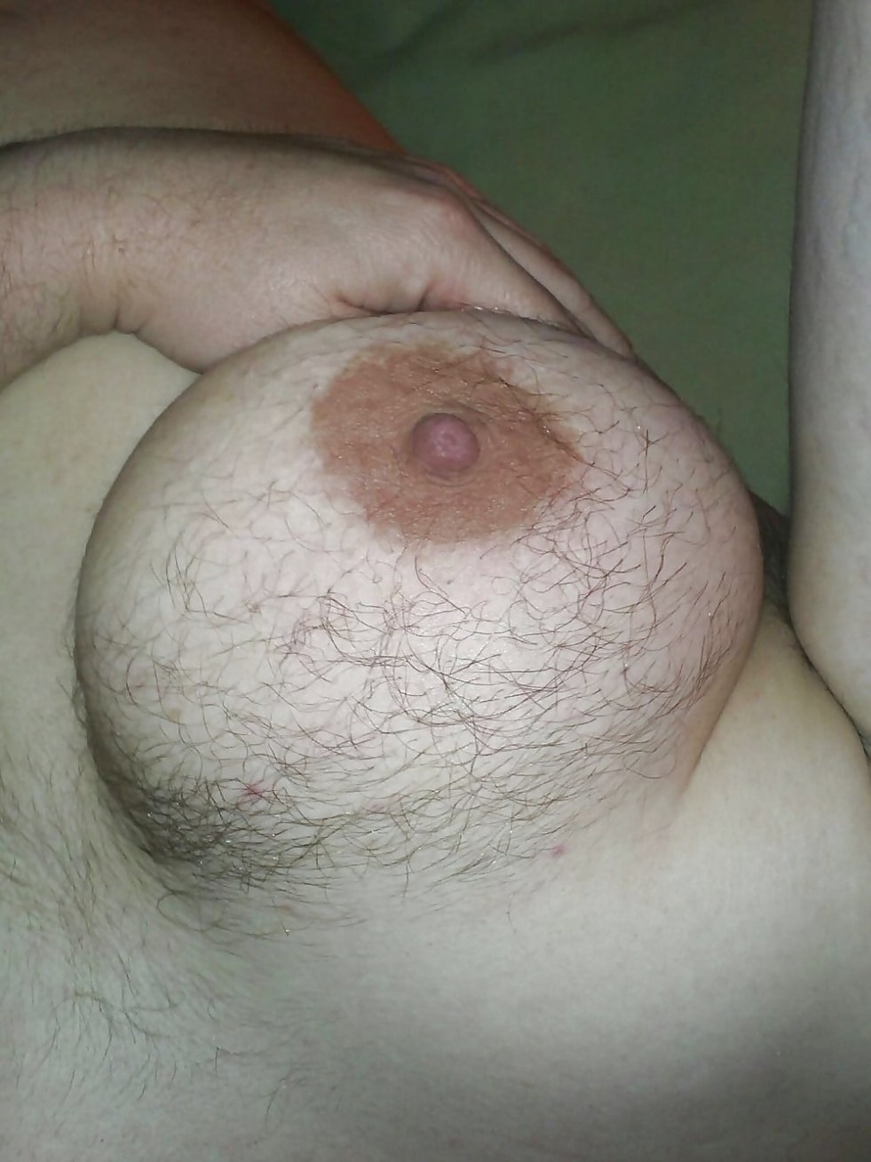 Hairy female tits