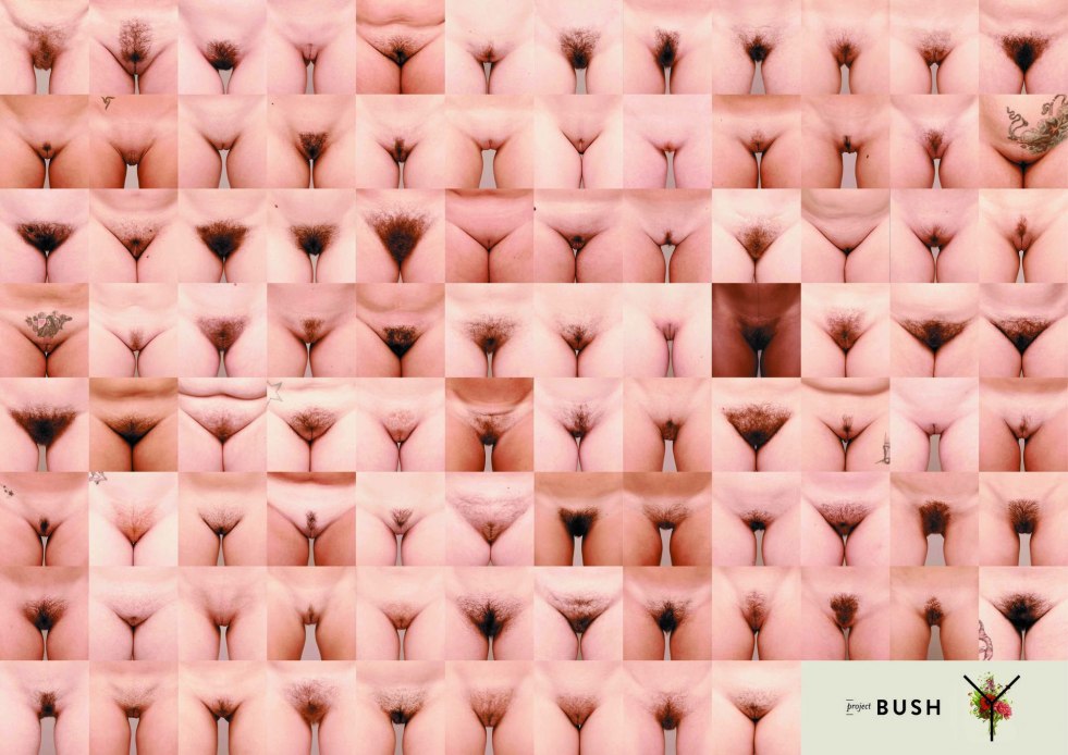 Forms of female genitals