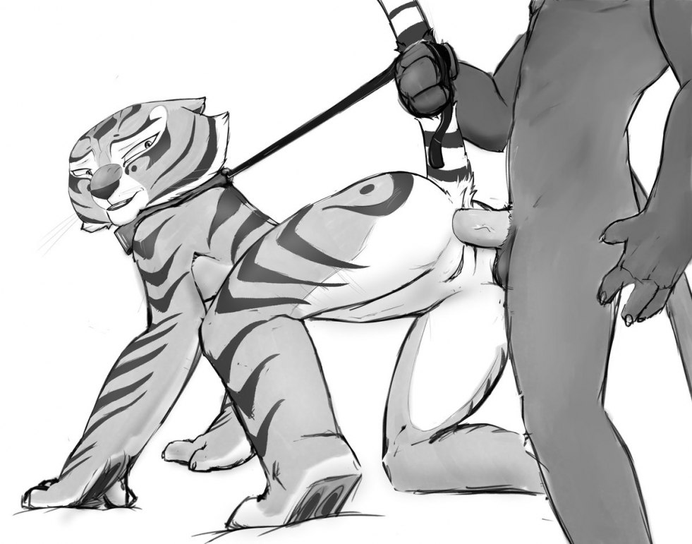 Kung Fu Panda Tigress Anal 34