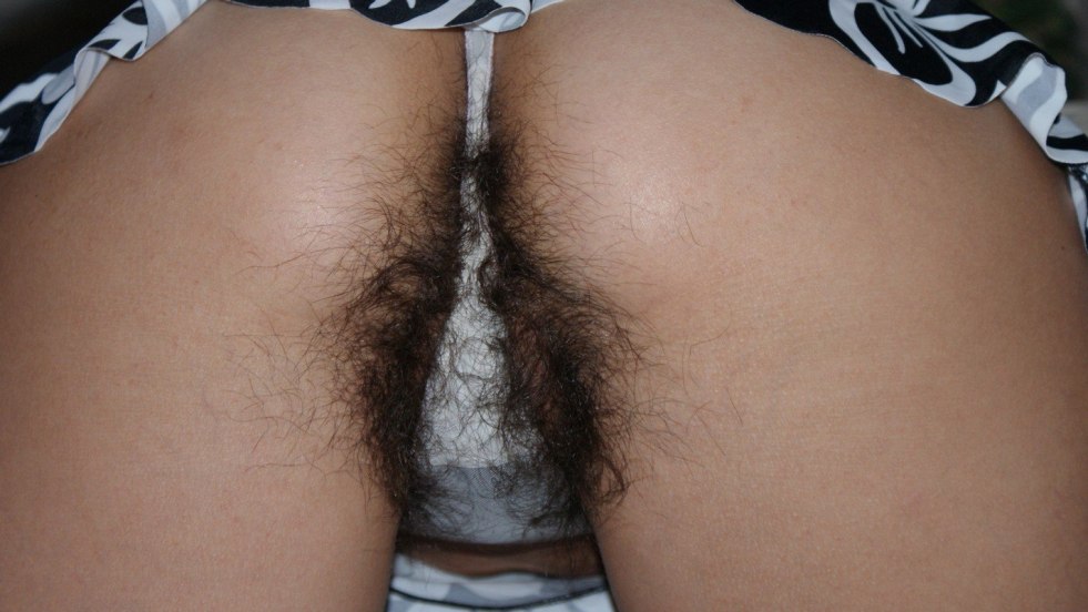 Hairy pussies in panties