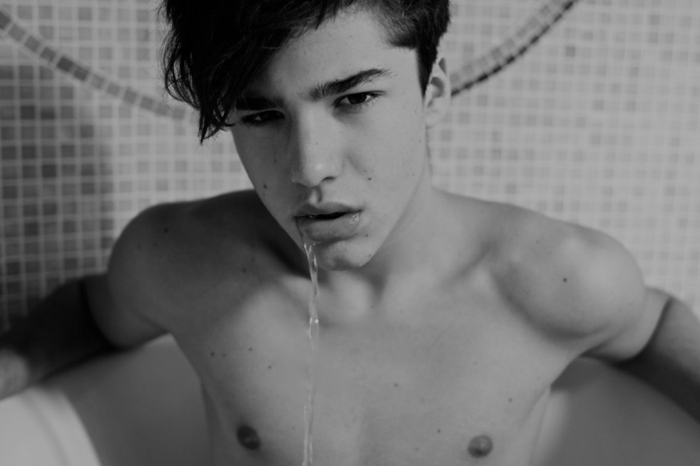 Roma Acorn in Cowals