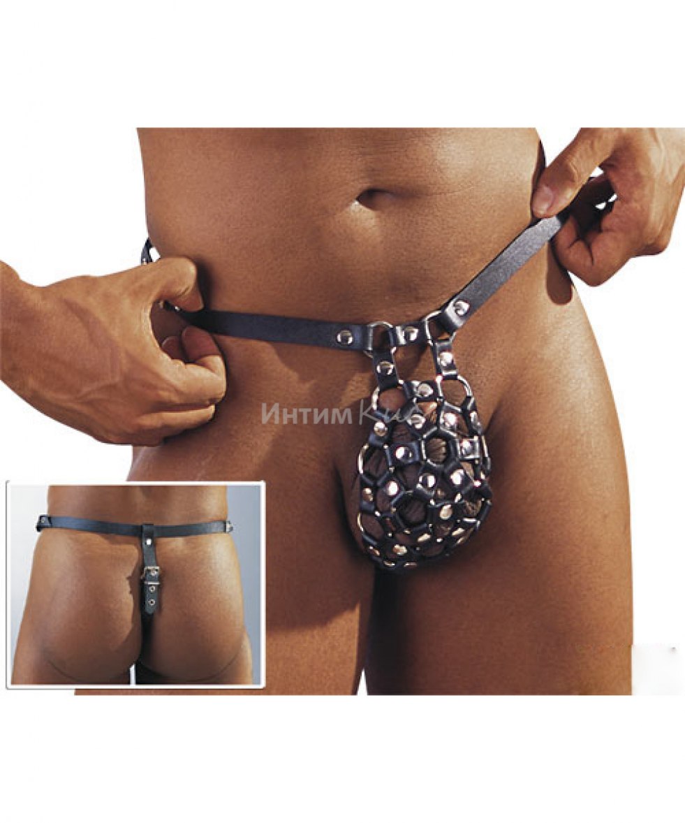 Men's cowrites for penis